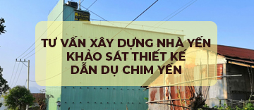 Tư vấn xây dựng nhà yến chuyên nghiệp